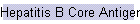 Hepatitis B Core Antigen