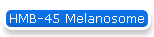 HMB-45 Melanosome