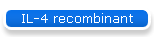 IL-4 recombinant