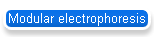 Modular electrophoresis