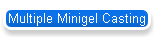 Multiple Minigel Casting
