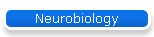 Neurobiology