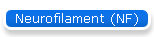 Neurofilament (NF)