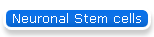 Neuronal Stem cells