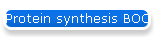 Protein synthesis BOC