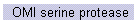OMI serine protease