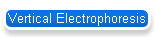Vertical Electrophoresis