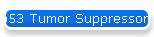 p53 Tumor Suppressor Gene