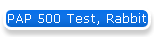 PAP 500 Test, Rabbit
