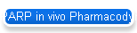 PARP in vivo Pharmacodynamic Assay