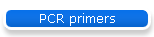 PCR primers