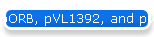 pORB, pVL1392, and pVL1393 Vectors