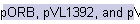 pORB, pVL1392, and pVL1393 Vectors