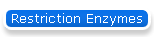 Restriction Enzymes
