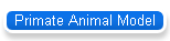 Primate Animal Model