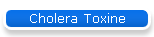 Cholera Toxine