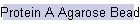 Protein A Agarose Beads