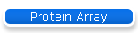 Protein Array