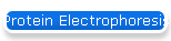 Protein Electrophoresis