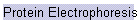 Protein Electrophoresis