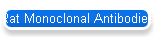 Rat Monoclonal Antibodies