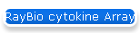 RayBio cytokine Array