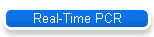 Real-Time PCR