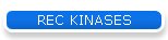 REC KINASES