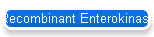 Recombinant Enterokinase