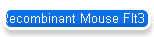 Recombinant Mouse Flt3 Ligand