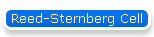 Reed-Sternberg Cell