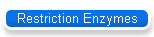 Restriction Enzymes
