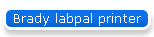 Brady labpal printer