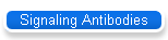 Signaling Antibodies
