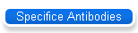 Specifice Antibodies