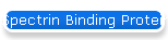 Spectrin Binding Protein, TCS