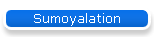 Sumoyalation