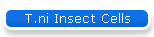 T.ni Insect Cells