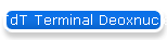 TdT Terminal Deoxnucleotidyl