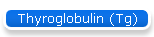 Thyroglobulin (Tg)