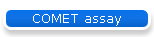 COMET assay