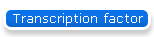 Transcription factor