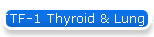 TTF-1 Thyroid & Lung Epithelial