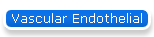 Vascular Endothelial