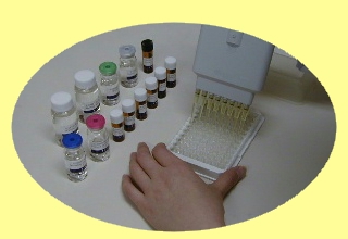 Highly Sensitive 8-OHdG Check